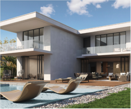 دايركشن وايت