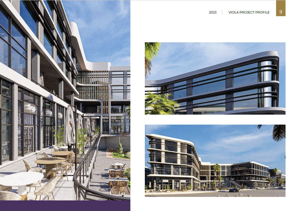 فيولا القاهرة الجديدة