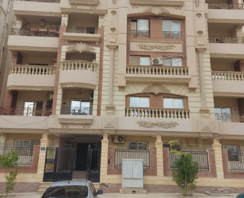 المستثمر الصغير